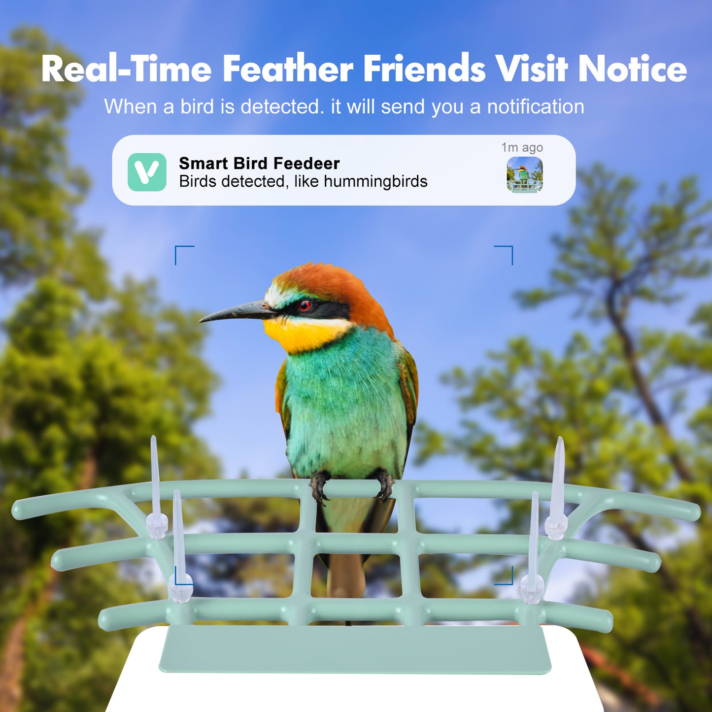 Blue Bird Feeder With Camera Full HD 135° wide view Cable&Solar Panel Charing Tris Home App