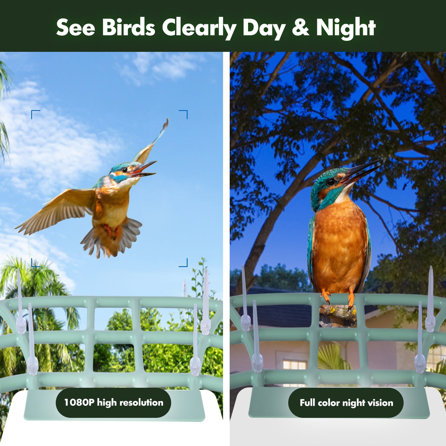 Blue Bird Feeder With Camera Full HD 135° wide view Cable&Solar Panel Charing Tris Home App